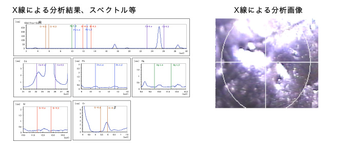 X線による分析結果